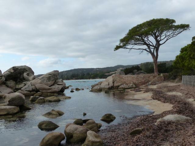 Luna Verde Porto-Vecchio  Zewnętrze zdjęcie