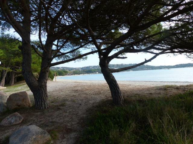 Luna Verde Porto-Vecchio  Zewnętrze zdjęcie